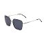 Ls1009 Silver Frame (Glossy Finish) / Polarized Gray Lens