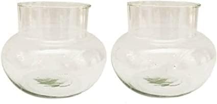 Urban Moon Mini Glass Flower Vase, Candy Jar, Money Plant, Bamboo Plant Pot for Indoor Gardening, Home, Office and Centre Table Decoration - Pack of 2 Piece, 4 Inches (B0CDVGZRZ8) Amazon Price History, Amazon Price Tracker