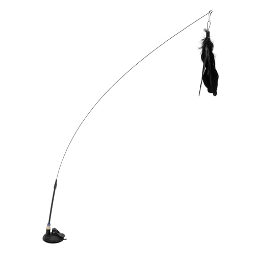 ROMISBABA z Jbv L XeBbN  L ANZT[  L L