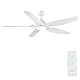 Newday Deckenventilator mit Beleuchtung und Fernbedienung,153CM Leise Deckenventilator mit Lampe Große, Deckenventilator Winterbetrieb Weiß mit 5 Gang-DC-Motor, 3 Farbtemperaturen, Timer