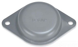 Square D SQDBCAP SQ D BCAP Closing Cap, Black