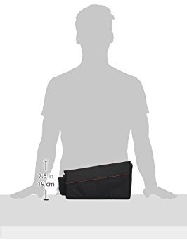 Image of Diono Travel Pal Back Seat Car Organizer, 9 Compartments For Kids and Pet Toys, Insulated Drinks Holder, Reinforced Carry Handles, Collapsible Back Seat Organizer, Folds Flat, Black