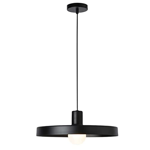 Lustre suspension d'art décoratif design minimaliste haut de gamme