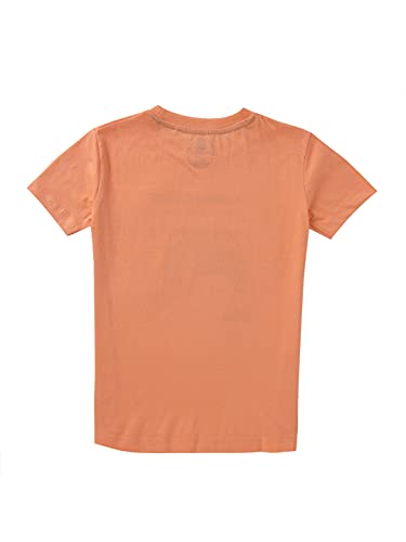 Image of Cub McPaws Boys Pack of 3 T-Shirts | Half Sleeves | 100% Cotton | 4-12 Years | Brilliant Basics Range