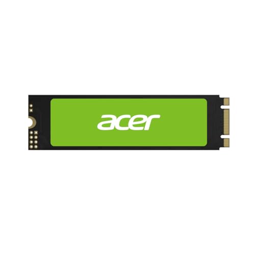 Acer RE100-M2-256GB