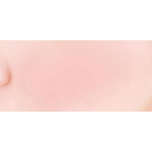 Image of CANMAKE - Powder Cheeks - Fine Pearl Transparent Clear Powder w /Soft Brush - 0.06floz (1.8g) (P04 Clever Beige)