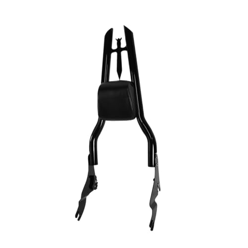 Coussin arrière de dossier de moto pour partager vos road trips en Touring
