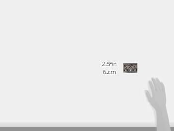 Amazon.co.jp: Schaller シャーラー 4弦ベース用ブリッジ 3D-4