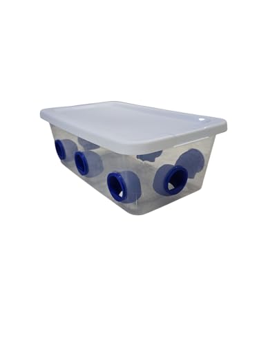 2B Creations Quail Feeder Tub with 8 Holes, No Waste, 6 Qt