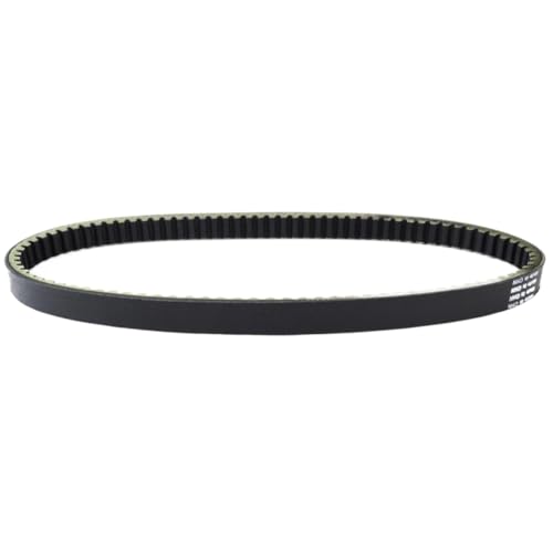 Correa de transmisión 1000x24.2 compatible con CF250T-3 V3 V5 V9 5
