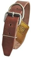 Dean & Tyler "B and B" Brown Basic Leather Dog Collar with Strong Nickel Hardware, Size 18-Inch by 3/4-Inch, Fits Neck 16-Inch to 20-Inch