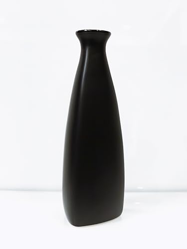 Image of Bliss Hohm Bottle Decorative Vase for Home Decor and Gifting, Black Triangular Bottle Flower Vases Room Decoration Items, Wall Tabletop showpieces