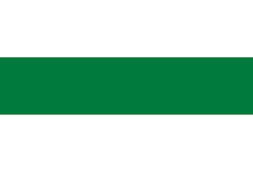 Drapeau Ignacio Warnes grand format pour mât extérieur - 2