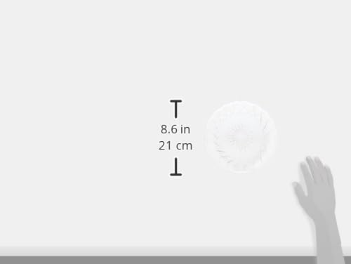 Soft n Cool Hotpack Disposable Plastic Elegant Crystal Clear Food Serving Plate 21cm, 5 Pieces