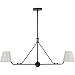 Crystorama XAV-B8302-MK Xavier Chandelier, 2-Light 120 Total Watts, Matte Black