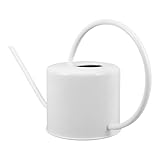 Ergonomie confortable : grâce à sa poignée ergonomique, l'arrosoir en métal offre une prise en main sûre, réduisant ainsi la fatigue des mains lors de l'arrosage du jardin, que ce soit à la maison ou à l'extérieur. arrosoir en acier inoxydable. arrosoir agricole