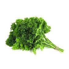 Audbhidhi Vegetable Seeds | Parsley Seeds | Parsley Vegetable Seeds | Parsley Seeds For Planting | Parsley Seeds For Home Garden pack of 50 seeds (B09GH47QBZ) Amazon Price History, Amazon Price Tracker
