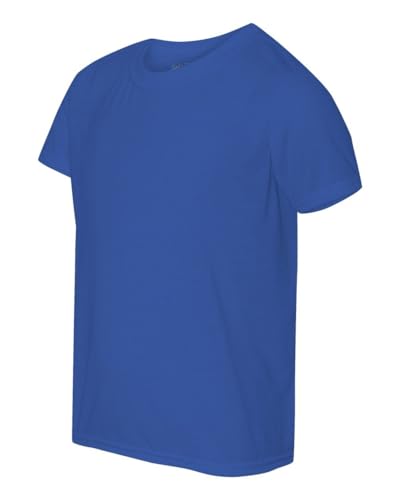 Performance T-Shirt (G420B) Royal Blue, M4