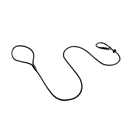 Dog & Field Slip Lead for Training