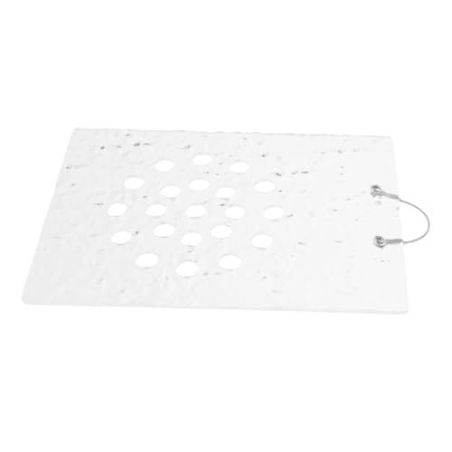 TINEASUR Acryl-montageplatte Für Pflanzen Wandmontiertes Pflanzbrett Acryl-pflanzenhalterung Orchideen-montageplatte Pflanzen-e -pflanzenplatte Wandmontierte Orchideenplatt