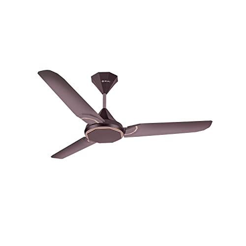Bajaj Junet Plus Avab Ceiling Fan 1200 Mm, Black Currant & Rose Copper, (251681)