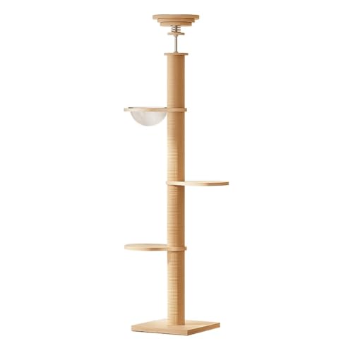 [2025 Apaeofl Lbg^[ ̃X^Cp FDnbNtc[NC~O^[ VOLbg^[ vAbvbh ȃXy[X X L̒܂Ƃ|Xg t[vbv ₷ ͊ɘa T|[g ̔L