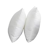 VALICLUD Imbottitura Cuscino 2 Pezzi 45X45 CM Riempitivi in Cotone PP per Cuscini da Salot...