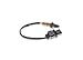 Bosch Automotive 0 281 004 572 Injection System