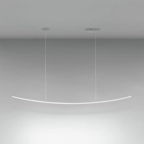 Plafonnier suspendu moderne en métal pour décoration intérieure chic