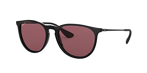 Image of Ray-Ban RB4171 Erika Round Sunglasses