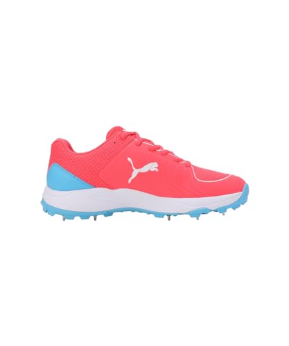 Image of Puma Mens Spike 24.2 Cricket Shoe
