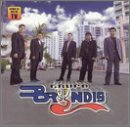 En El Idioma Del Amor [Audio CD] Grupo Bryndis