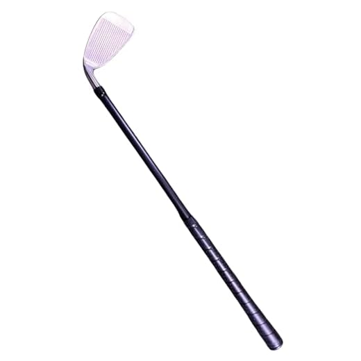 Shortee 23" Golf Training Aid