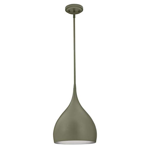 Lámpara de techo Westinghouse gris mate de una luz para iluminación interior moderna 2