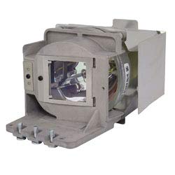 Repuesto lámpara y carcasa OPTOMA BL-FP190C para proyector