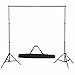 Imagen de vidaXL Equipo de Estudio de Fotografía Telón de Fondo Negro 600x300 y Luces