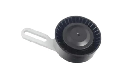 Courroie d'accessoires anti-bruit pour tendeur BMW X5 E70 V8 4.8L référence 11287546163