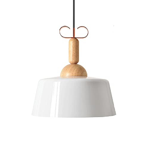 Lampes suspendues personnalisées LED scandinaves pour plafond