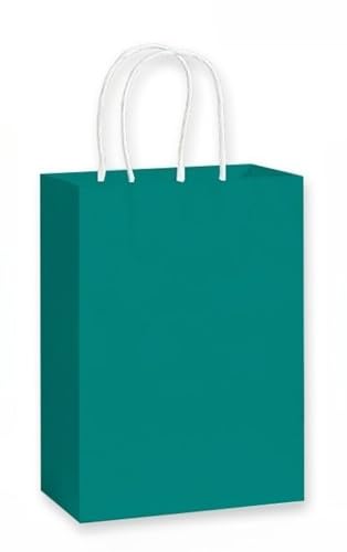  100Zbg  Ntg VbsOobO n 񂰑 MtgobO (_[NO[,15*8*21cm)