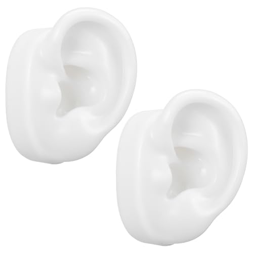 BUTIFULSIC 1 yA lH CtH C[JtCO C   ̃Tv M@ VR[f ͑^ lHf lԂ̎f VR^ VJQ 