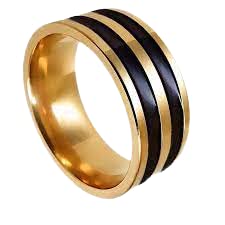 Rings For Men Golden Colour Double Black Stripes Ring 8 (B0BCFDZY9Z) Amazon Price History, Amazon Price Tracker