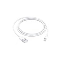 Lightning to USB Cable (1 m)