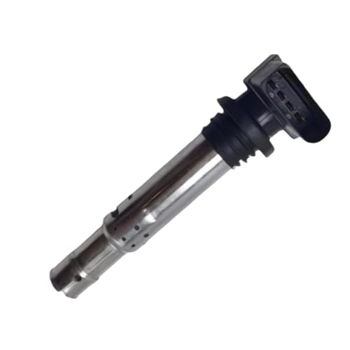 Bobine d'allumage 036905715F contre le voyant moteur allumé et les calages sur Seat 1.4 16V