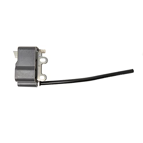 Amazon.com: COIL, IGNITION : Automotive