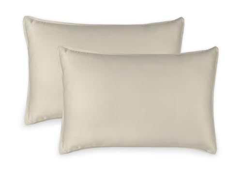 Queen Pillowcases by Pure Bamboo, Genuine 100% Organic Viscose Derived from Bamboo, Luxuriously Soft & Cooling, Double Stitching, Envelope Closure (2 Queen Pillowcases, Birch) by Pure Bamboo - Used condition - US$20.43