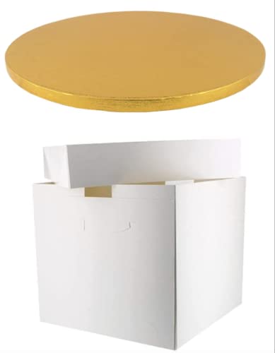 DORIC ROUND COLOURED Drum cake BOARD and white transporting BOX (10 Inch, Gold)