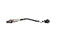 Bosch Automotive 258006499 Lambdasonde