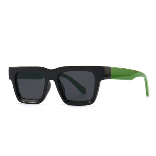 Lunettes de soleil unisexe monture élégante classique pour protection solaire quotidienne