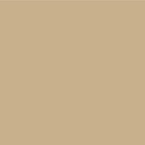 LATICRETE Premium Acrylic Caulk Sanded Parchment miniatura 1