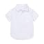 Plain White